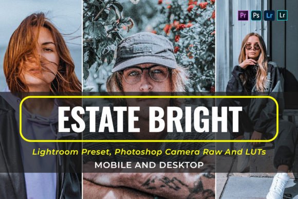 Download 10 Estate Bright Presets and Luts - Bright Collection