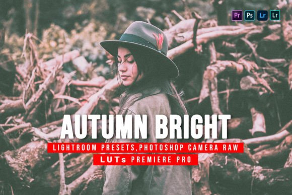 Download 10 Autumn Bright Presets and Luts - Bright Collection