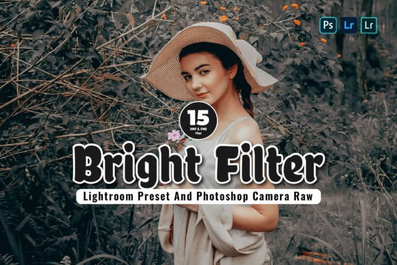 Download 15 Bright Filter Lightroom Presets - Bright Collection